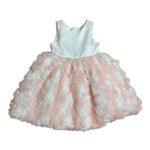 American Princess Dress Flower Girl Roses Pink White Dainty Spring Summer 2T